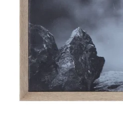 38.7" X 28.7" Donkey On Canvas Framed Wall Art Black/White -Storied Home -Safavieh Store GUEST 0771d31f 0ee7 4002 bf45 b09f39fd945f