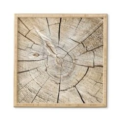 Lisa Argyropoulos Wood Cut Bamboo Framed Wall Art - Deny Designs -Safavieh Store GUEST 130dd373 4286 4b79 b897 c65a04229e7c