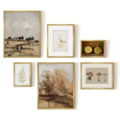 Americanflat 6 Piece Vintage Gallery Wall Art Set - Fall Study, Autumn In The Hills, Mushrooms, Light Bird, Fern Frond By Maple + Oak -Safavieh Store GUEST 135277bc 3e48 403e 9a12 16f5b4c4e3fd