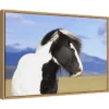 23" X 16" Icelandic Horse By Peter Langer Danita Delimont Framed Canvas Wall Art - Amanti Art 2 23" X 16" Icelandic Horse By Peter Langer Danita Delimont Framed Canvas Wall Art - Amanti Art -Safavieh Store GUEST 1e098f93 7cb1 4e69 9775 d5b1b8a782ef
