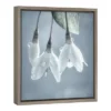 16" X 16" USA, Washington, Silverdale. Japanese Snowbell Tree Blossoms. Framed Canvas Wall Art - Amanti Art 2 16" X 16" USA, Washington, Silverdale. Japanese Snowbell Tree Blossoms. Framed Canvas Wall Art - Amanti Art -Safavieh Store GUEST 2b678651 b73a 45e6 afbb 927464d9a30b