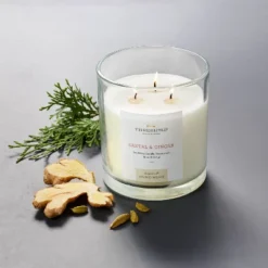 Clear Glass Santal & Ginger Candle White - Threshold⢠Designed With Studio McGee