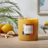28oz Glass Lemon La Mer Candle Yellow - Opalhouse™ 2 28oz Glass Lemon La Mer Candle Yellow - Opalhouse™ -Safavieh Store GUEST 345325a5 f976 46d8 a646 203840829cb7