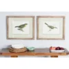 Wood Bird Framed Wall Art With Brown Frame Set Of 2 Brown - Olivia & May -Safavieh Store GUEST 422fdbd3 fea7 45e4 9d62 f5c902b20f33