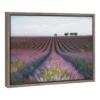 23" X 16" Velours De Lavender Framed Canvas Wall Art - Amanti Art 1 23" X 16" Velours De Lavender Framed Canvas Wall Art - Amanti Art -Safavieh Store GUEST 4901f0b8 b4eb 4ead aa4a 3597ecbb5001