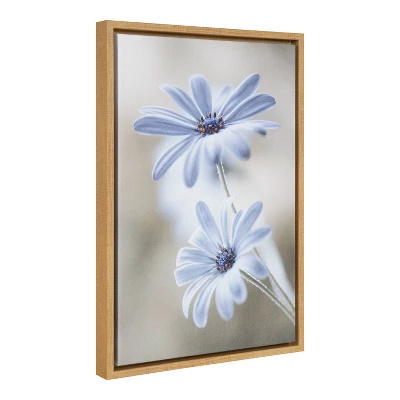 16" X 23" Cape Daisies Framed Canvas Wall Art - Amanti Art 3 16" X 23" Cape Daisies Framed Canvas Wall Art - Amanti Art