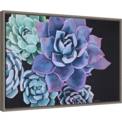 23" X 16" Abundance Succulent By Alana Clumeck Framed Canvas Wall Art - Amanti Art