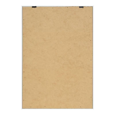 16" X 23" Cape Daisies Framed Canvas Wall Art - Amanti Art 6 16" X 23" Cape Daisies Framed Canvas Wall Art - Amanti Art - Image 4