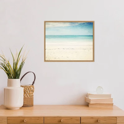 20" X 16" In The Clear By Lupen Grainne Framed Canvas Wall Art - Amanti Art 5 20" X 16" In The Clear By Lupen Grainne Framed Canvas Wall Art - Amanti Art - Image 3