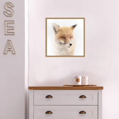 16" X 16" Satisfied Fox By Doris Reindl Framed Canvas Wall Art - Amanti Art 5 16" X 16" Satisfied Fox By Doris Reindl Framed Canvas Wall Art - Amanti Art - Image 3