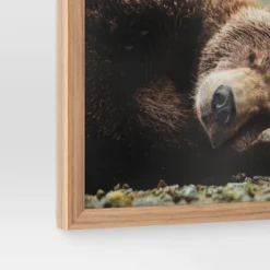 20" X 16" Bear Photography Framed Art Brown - Threshold™ 7 20" X 16" Bear Photography Framed Art Brown - Threshold™ -Safavieh Store GUEST 8d29808a 8d0a 4121 a8c8 64d15cc45658