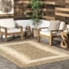 NuLOOM Tami Transitional Square Indoor/Outdoor Area Rug