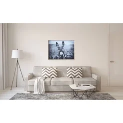 38.7" X 28.7" Donkey On Canvas Framed Wall Art Black/White -Storied Home -Safavieh Store GUEST ad2dcb23 7522 4932 8629 e20574aa9094