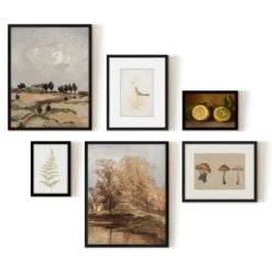 Americanflat 6 Piece Vintage Gallery Wall Art Set - Fall Study, Autumn In The Hills, Mushrooms, Light Bird, Fern Frond By Maple + Oak -Safavieh Store GUEST ceeed54b 5481 4731 a63f 59d55e596b8d