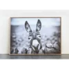 38.7" X 28.7" Donkey On Canvas Framed Wall Art Black/White -Storied Home -Safavieh Store GUEST d3f01406 c331 4037 b80e 9385723d6ef1