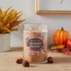 21.5oz Lidded Glass Jar 2-Wick Autumn Harvest Candle - Opalhouse™ 1 21.5oz Lidded Glass Jar 2-Wick Autumn Harvest Candle - Opalhouse™ -Safavieh Store GUEST d493f41a 53f3 49af 851d 75c34df8924a