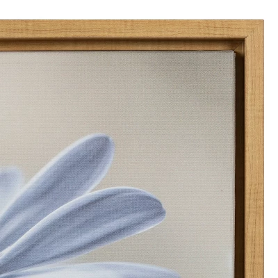 16" X 23" Cape Daisies Framed Canvas Wall Art - Amanti Art 4 16" X 23" Cape Daisies Framed Canvas Wall Art - Amanti Art - Image 2