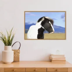 23" X 16" Icelandic Horse By Peter Langer Danita Delimont Framed Canvas Wall Art - Amanti Art -Safavieh Store GUEST d946bf7a e7f0 43e4 9432 89ce78f36e5c