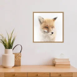 16" X 16" Satisfied Fox By Doris Reindl Framed Canvas Wall Art - Amanti Art 9 16" X 16" Satisfied Fox By Doris Reindl Framed Canvas Wall Art - Amanti Art -Safavieh Store GUEST e1cfc5b6 ba1f 45aa a68c a58112ae41ac