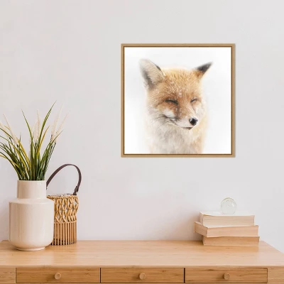 16" X 16" Satisfied Fox By Doris Reindl Framed Canvas Wall Art - Amanti Art 6 16" X 16" Satisfied Fox By Doris Reindl Framed Canvas Wall Art - Amanti Art - Image 4