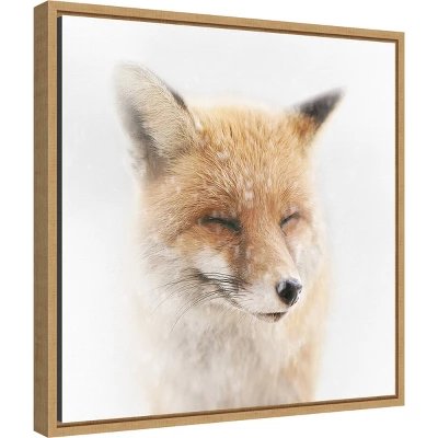 16" X 16" Satisfied Fox By Doris Reindl Framed Canvas Wall Art - Amanti Art 3 16" X 16" Satisfied Fox By Doris Reindl Framed Canvas Wall Art - Amanti Art