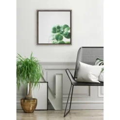 16" X 16" Succulent Simplicity VIII Neutral Framed Canvas Wall Art - Amanti Art 8 16" X 16" Succulent Simplicity VIII Neutral Framed Canvas Wall Art - Amanti Art -Safavieh Store GUEST e984bd42 3feb 4f70 92fd cd614ad90bf4