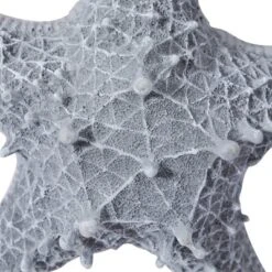 Polystone Starfish Wall Decor With Hanging Rope Gray - Olivia & May -Safavieh Store GUEST ee60b9da e7a1 4bbf b423 49f37f95599e