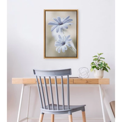 16" X 23" Cape Daisies Framed Canvas Wall Art - Amanti Art 5 16" X 23" Cape Daisies Framed Canvas Wall Art - Amanti Art - Image 3