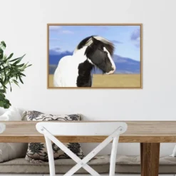23" X 16" Icelandic Horse By Peter Langer Danita Delimont Framed Canvas Wall Art - Amanti Art -Safavieh Store GUEST f38b4511 3ebb 4e01 ab40 81e6f10d5b9b
