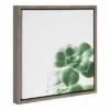 16" X 16" Succulent Simplicity VIII Neutral Framed Canvas Wall Art - Amanti Art -Safavieh Store GUEST f629414a 3e1d 43aa a915 91b331b95a2f
